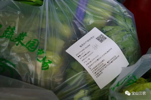 合格證 食用農產品的“身份證”與“入場券”——寶山農產品品牌建設邁出新步伐