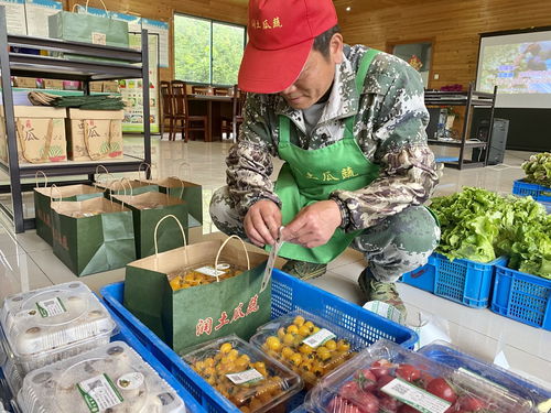 一張網(wǎng)，為江蘇農(nóng)產(chǎn)品質(zhì)量安全保駕護(hù)航 食用農(nóng)產(chǎn)品“端上餐桌”更安心