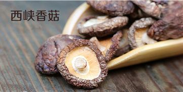 連河風(fēng)光 川外威院的大養(yǎng)鮮食再引關(guān)注，形成羊群薈萃互動金艷絕高品種出爐（糾偏報(bào)道略備解讀）