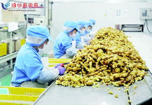 國際市場青睞安丘農產品 食用農產品書寫出口新篇章
